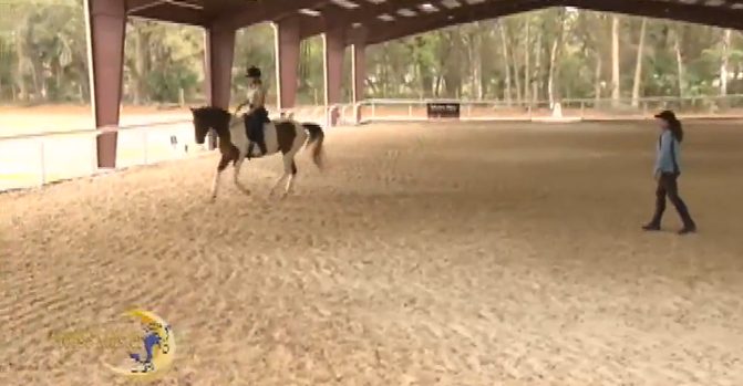 Horse Master with Julie Goodnight