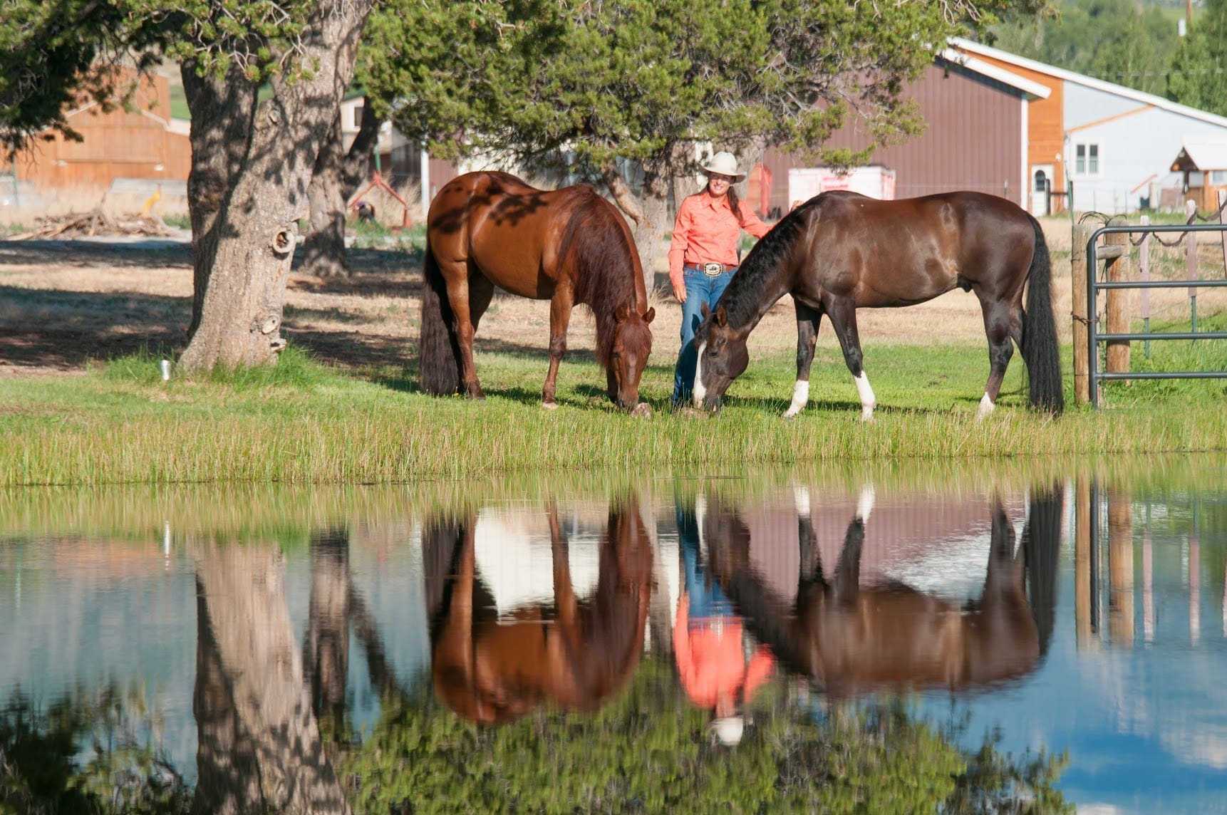 Feeding Transitions in the Spring