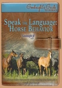 Speak the Language: Horse Behavior