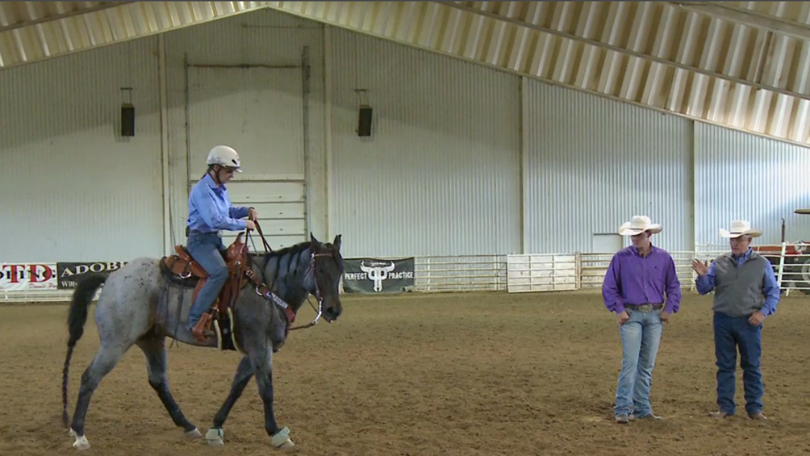 Online Extra, Julie working with roping horse