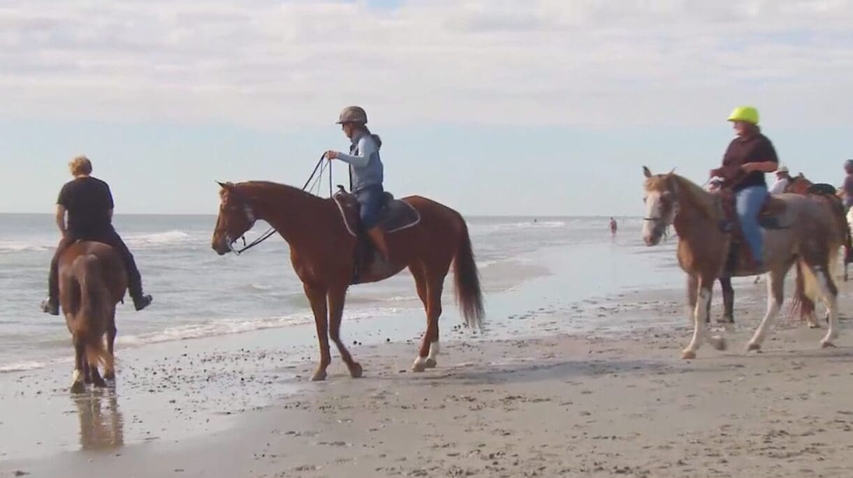 1117: Horses on the Beach