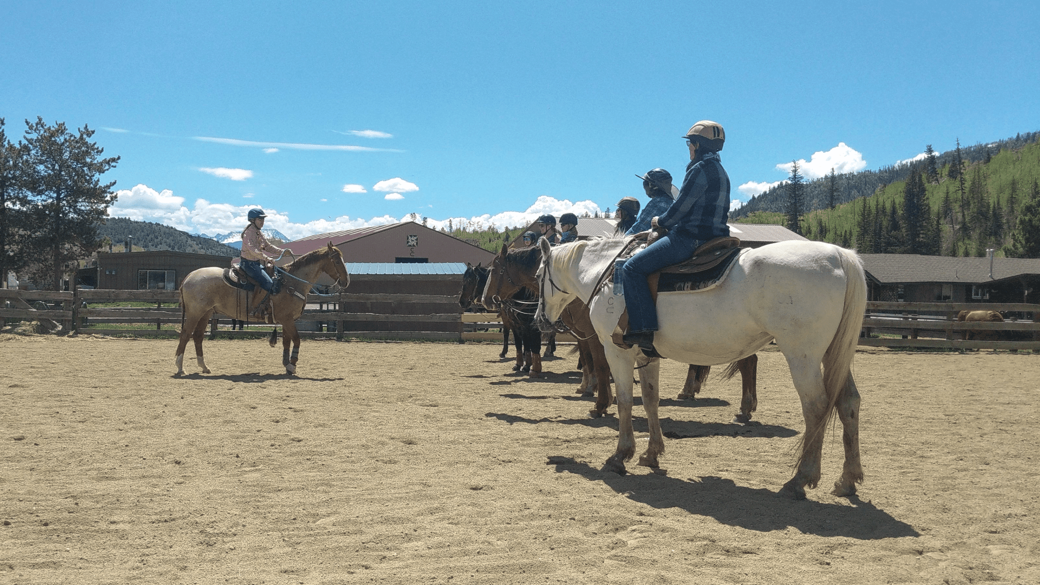 My First Covid-Era Horsemanship Clinic