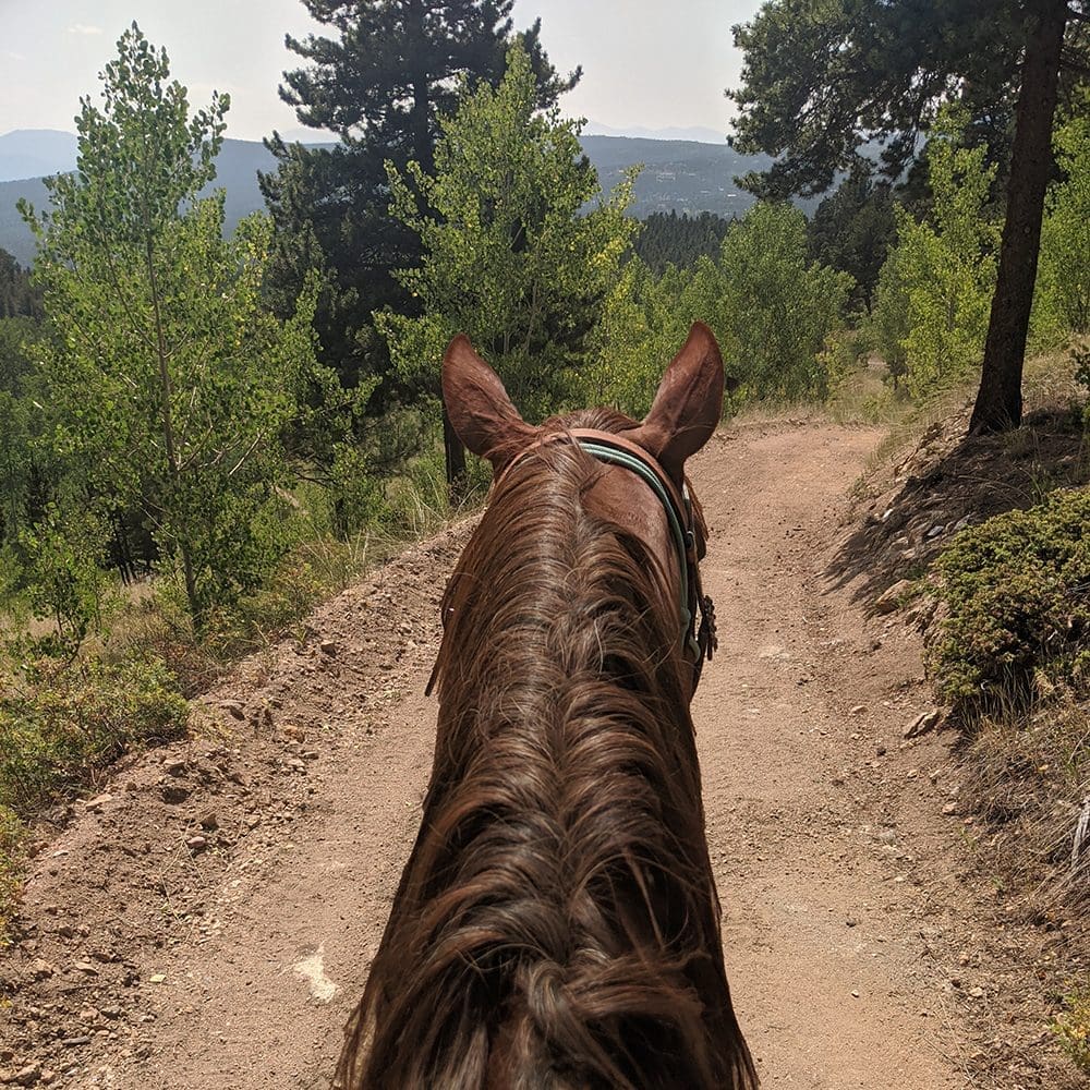 The Making of a Trail Horse, Part 2