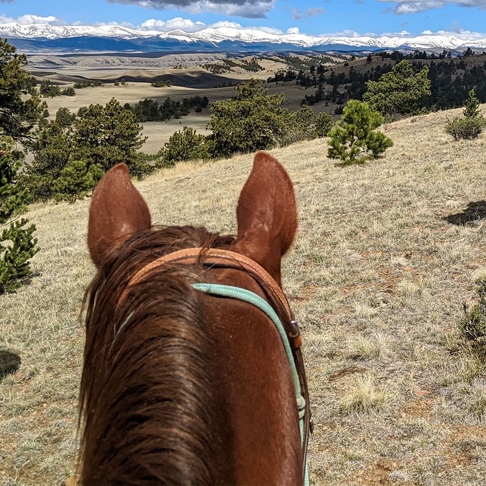View from behind horse's ears of treed hills and mountain range.