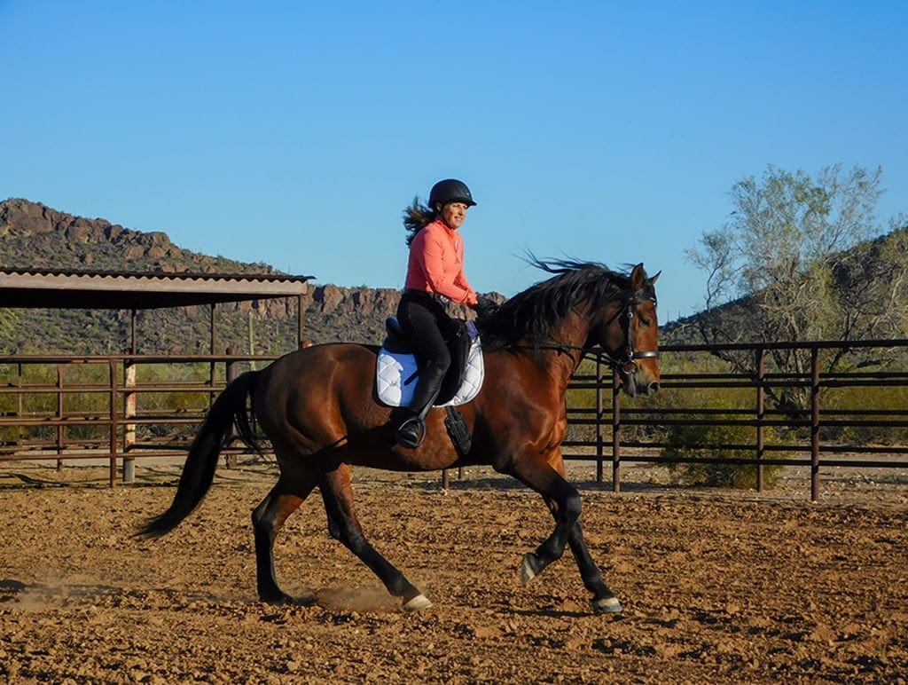 Julie cantering a warmblood in an arena.