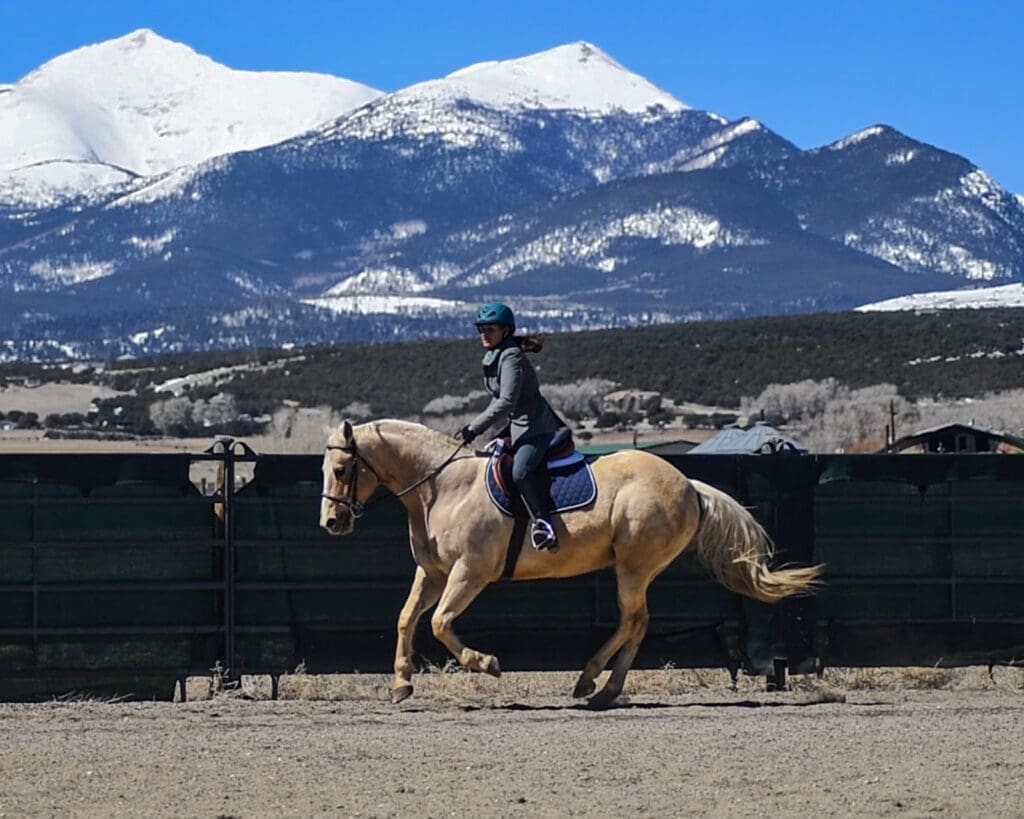 Julie cantering palomino horse