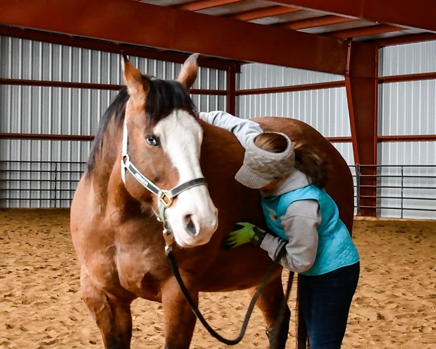 Julie grooming Abner with HandsOn Gloves