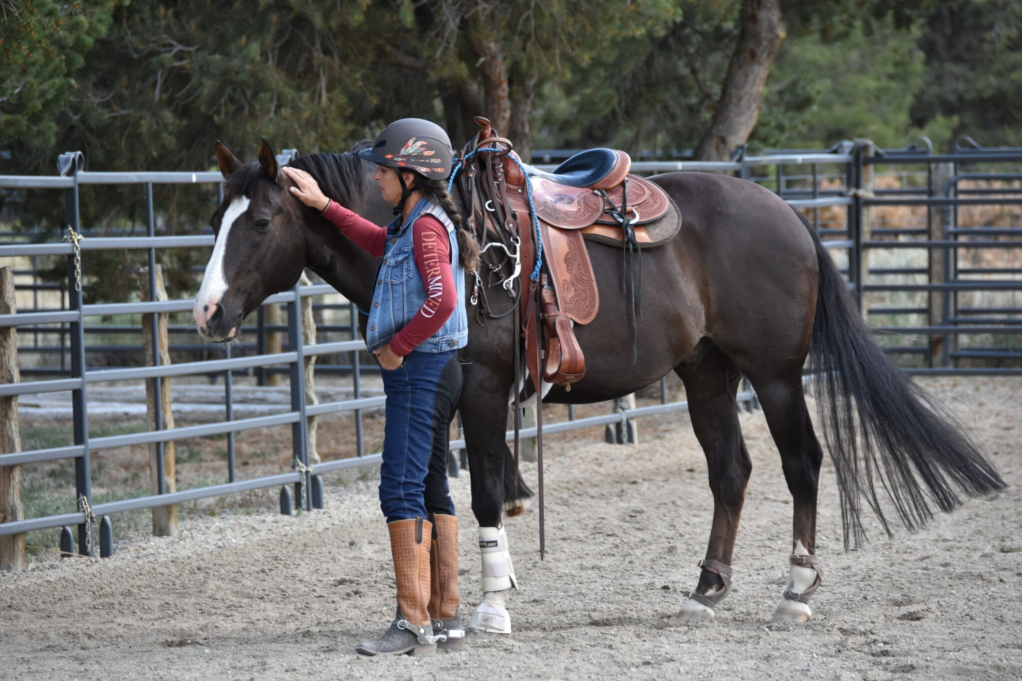 Cultivating a Connection with Horses