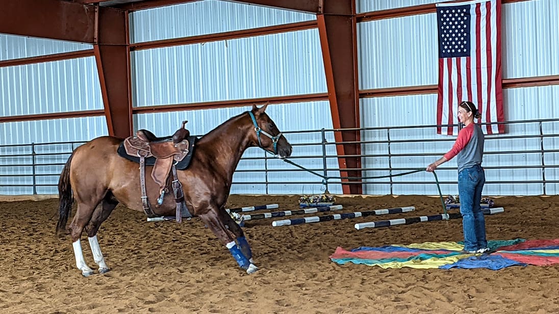 Managing Fearful Behavior in Horses