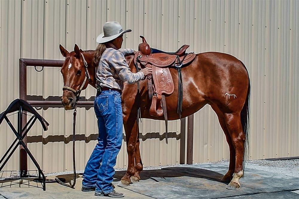 Julie and Annie Assessing Saddle Fit