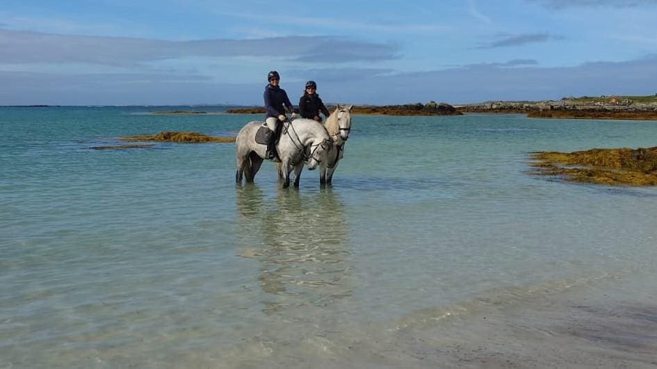horseback riders at the beach in the water in Ireland