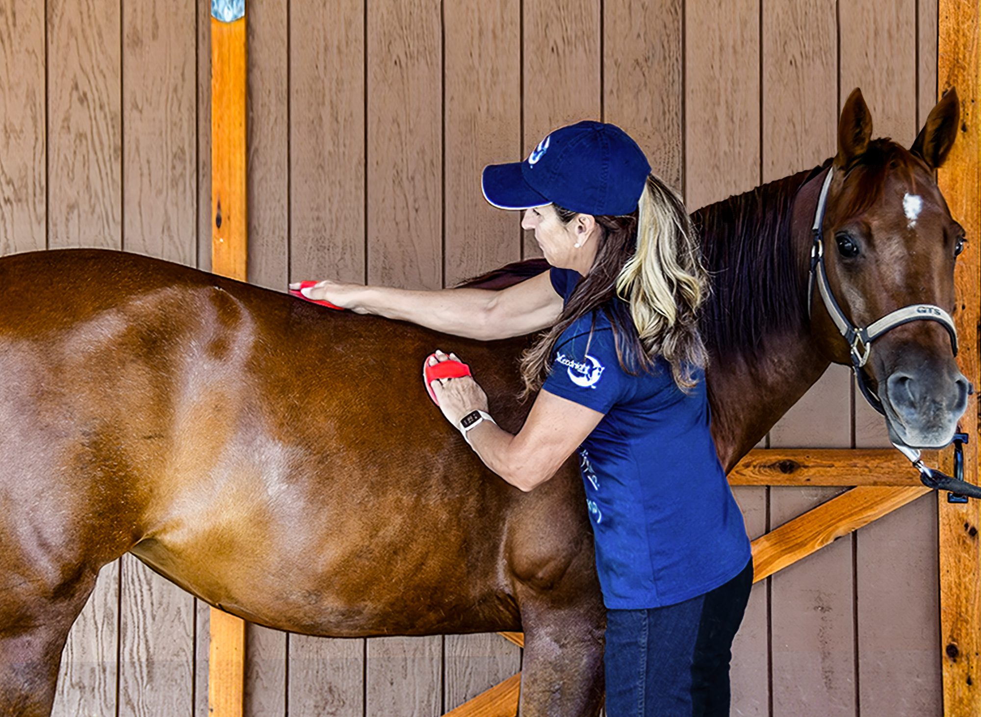 Horse Goals or Bust Part 5: Grooming Tips from the Trail to the Arena