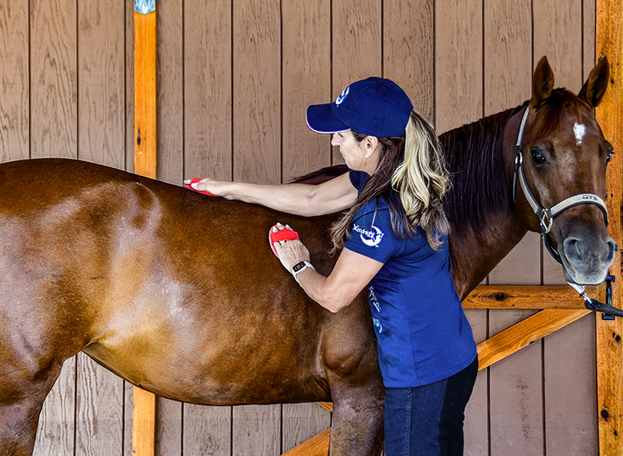 Julie grooming her horse, Annie.