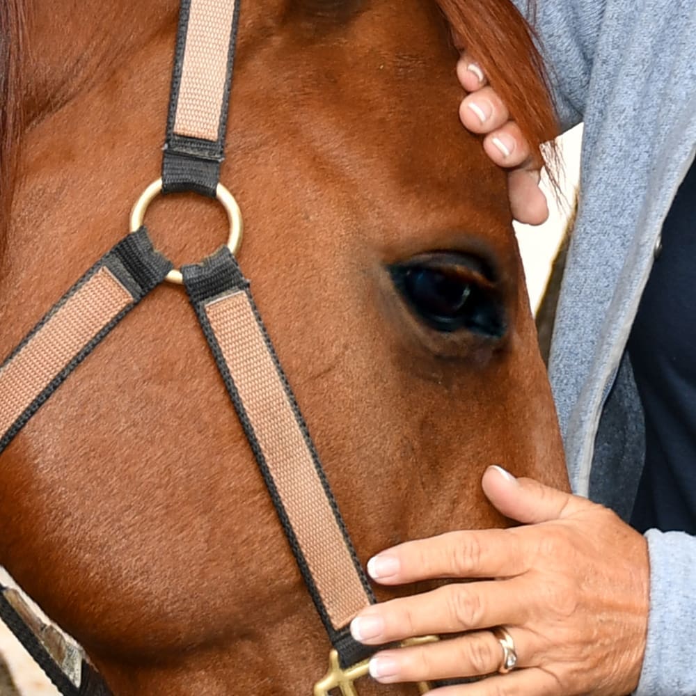 closeup of Annie's face