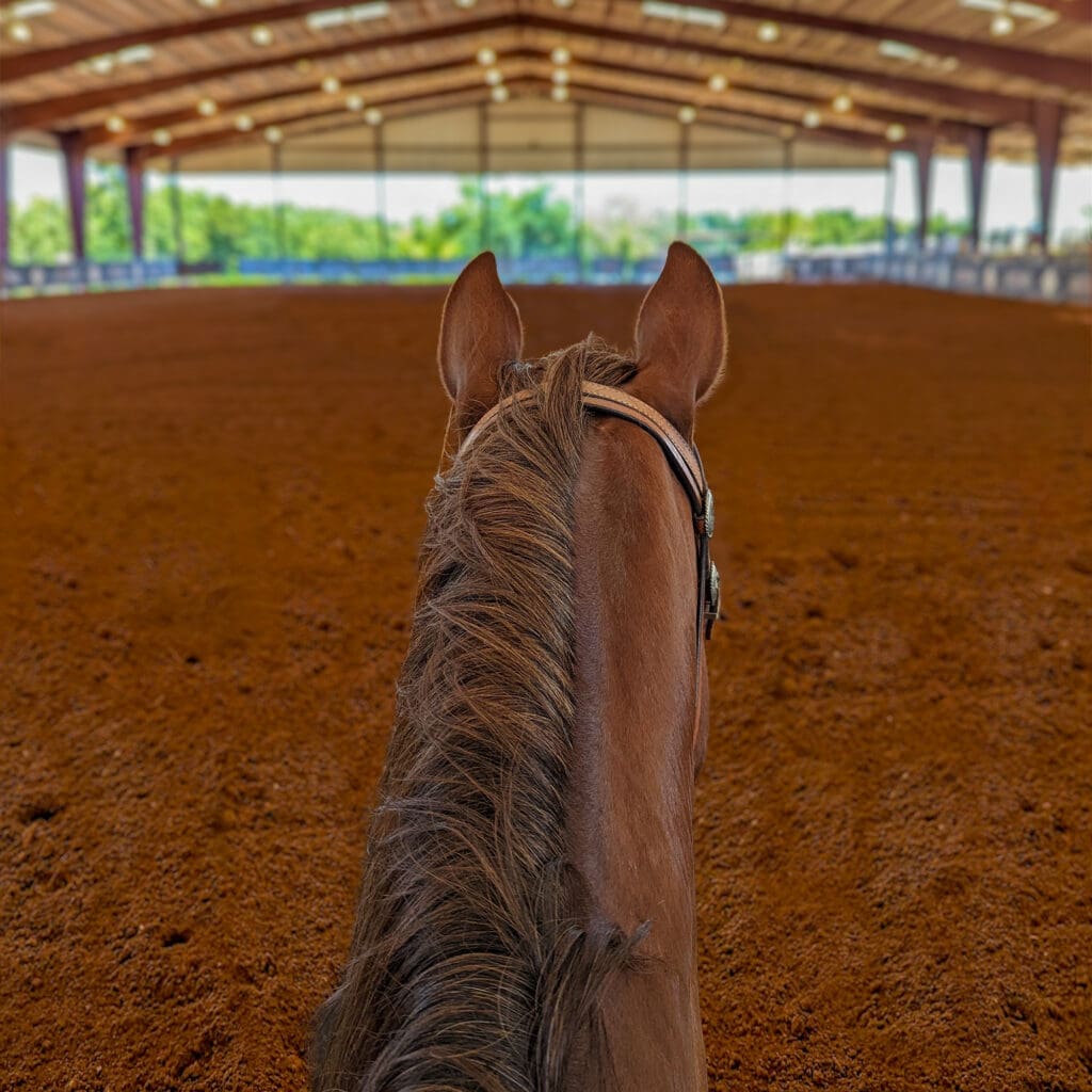 View of an arena through a horse's ears.