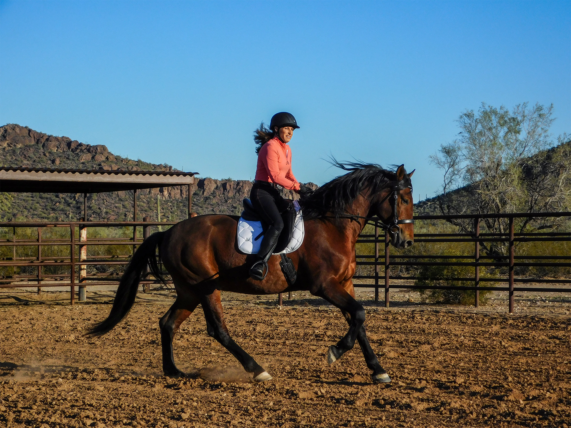 Horse Goals Or Bust Part 8: Mental Strategies to Manage Day-Of Anxiety & Perform at Your Best