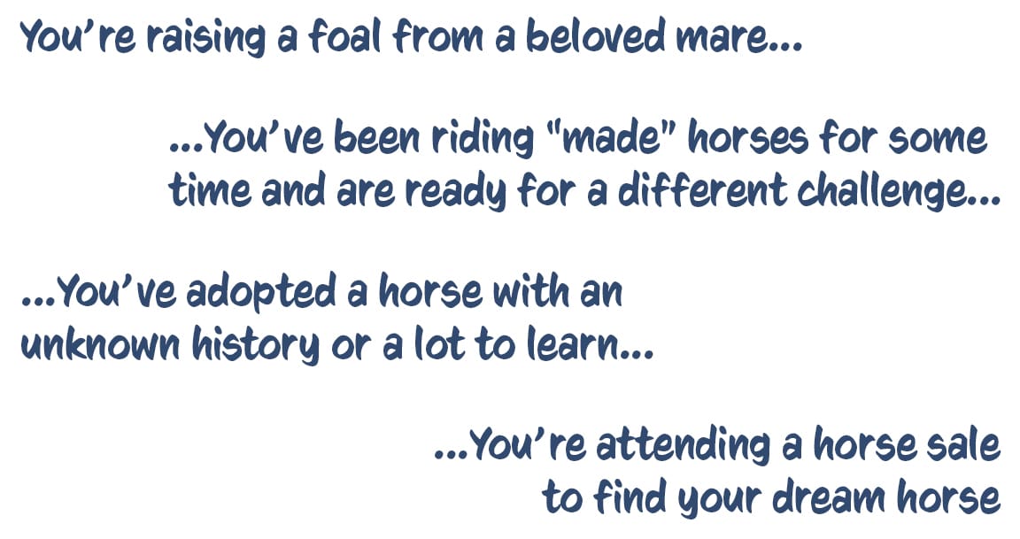You’re raising a foal from a beloved mare. You’ve been riding “made” horses for some time and are ready for a different challenge. You’ve adopted a horse with an unknown history or a lot to learn. You’re attending a horse sale to find your dream horse.