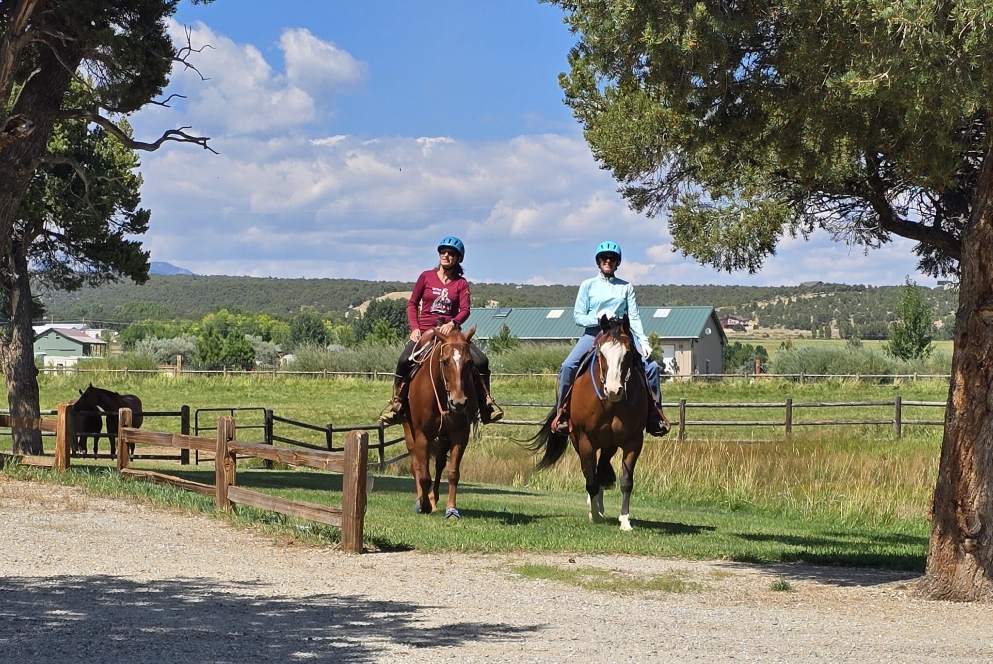 Horse Report August 2025